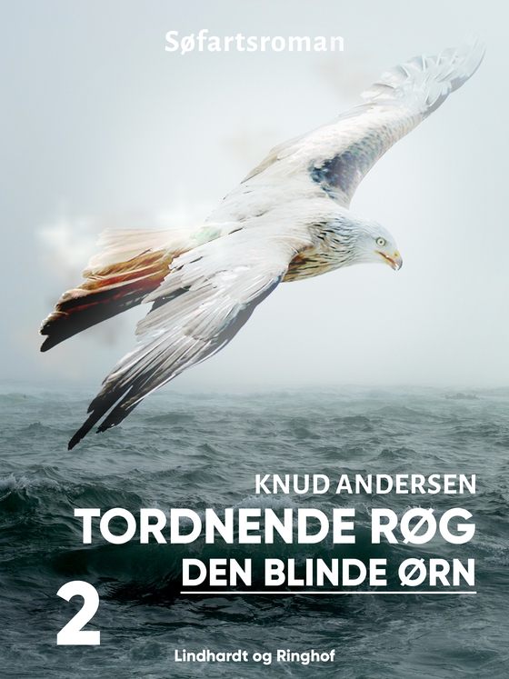 Tordnende røg (e-bog) af Knud Andersen