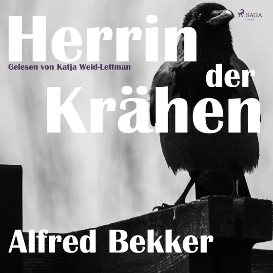 Herrin der Krähen (lydbog) af Alfred Bekker