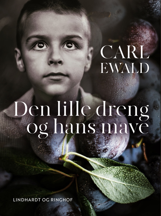 Den lille dreng og hans mave