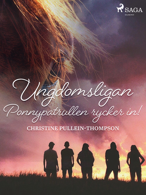 Ungdomsligan: Ponnypatrullen rycker in! (e-bog) af Christine Pullein Thompson