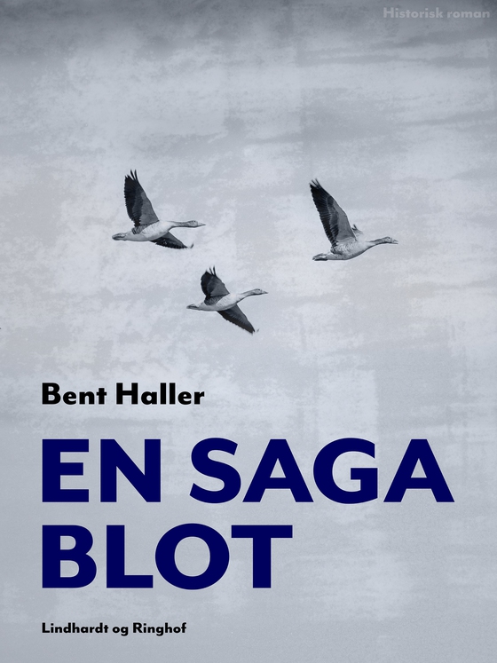 En saga blot