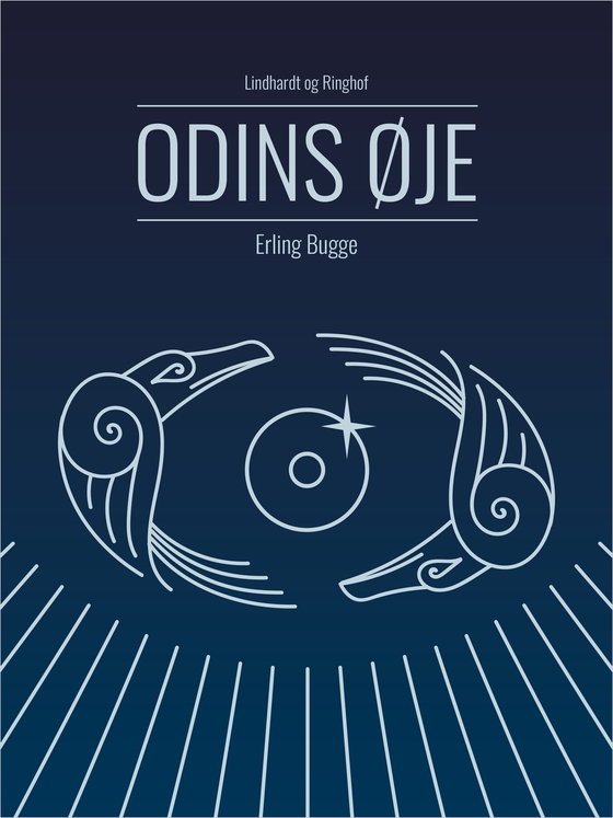 Odins øje (e-bog) af Erling Bugge