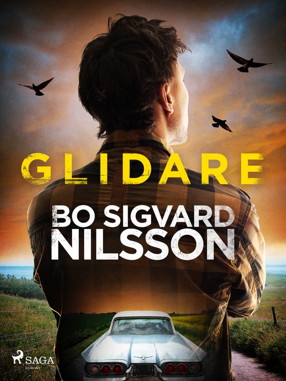 Glidare (e-bog) af Bo Sigvard Nilsson