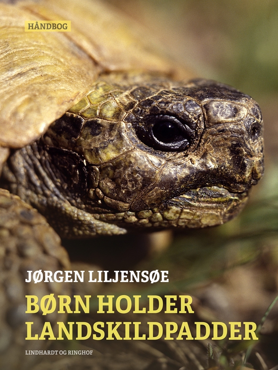 Børn holder landskildpadder (e-bog) af Jørgen Liljensøe