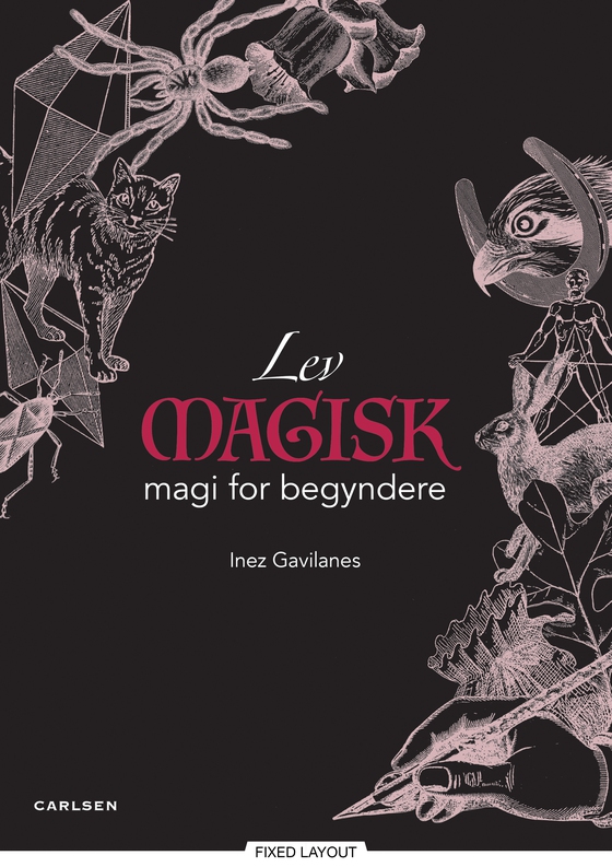 Lev magisk - magi for begyndere (e-bog) af Inez Gavilanes