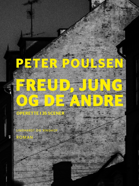 Freud, Jung og de andre (lydbog) af Peter Poulsen