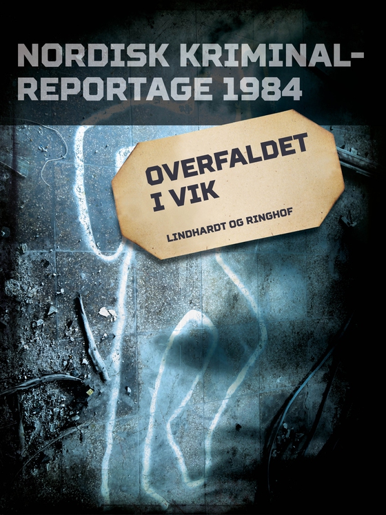 Overfaldet i Vik (e-bog) af Diverse