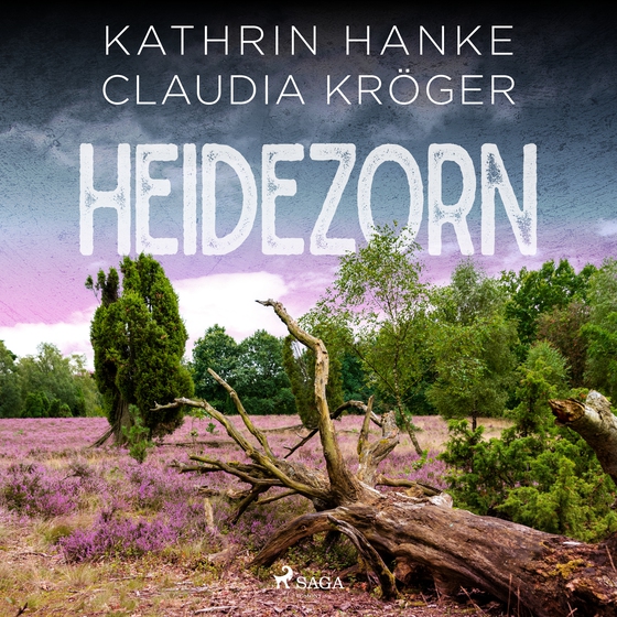 Heidezorn (Katharina von Hagemann, Band 5)