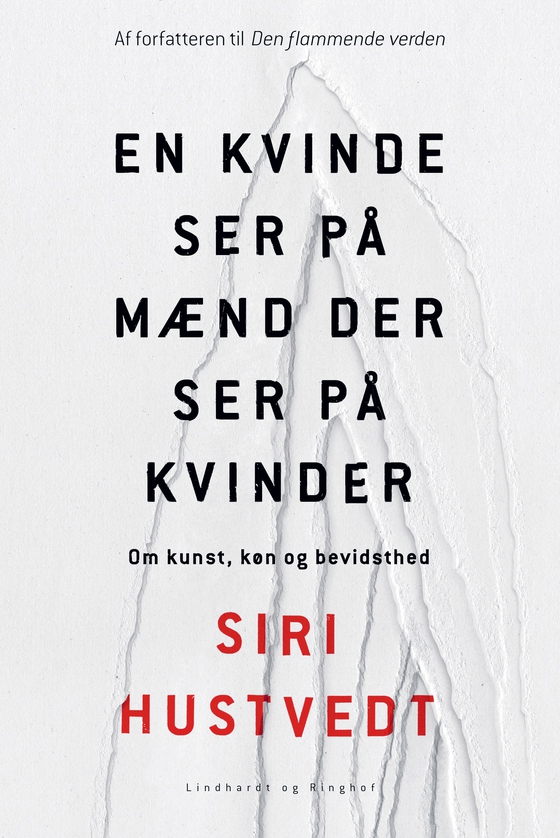En kvinde ser på mænd der ser på kvinder (e-bog) af Siri Hustvedt