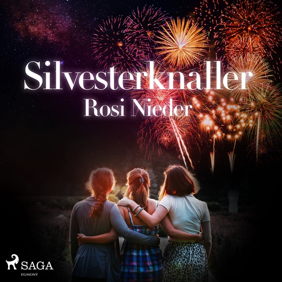 Silvesterknaller - Vulkanausbruch in der Eifel 2010/11 (lydbog) af Rosi Nieder