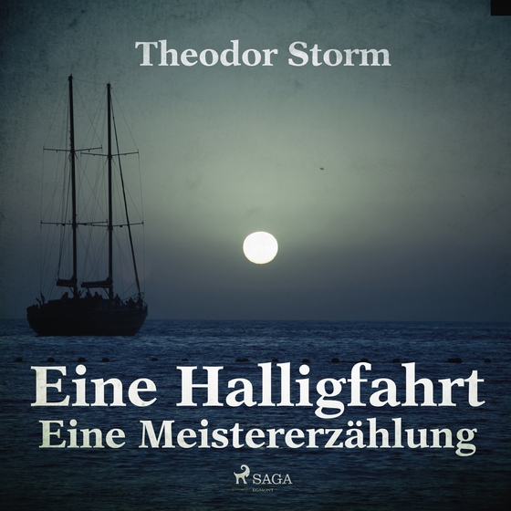 Eine Halligfahrt - Eine Meistererzählung (lydbog) af Theodor Storm