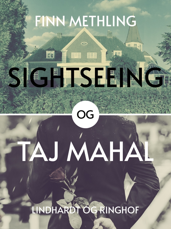 Sightseeing og Taj Majhal (e-bog) af Finn Methling