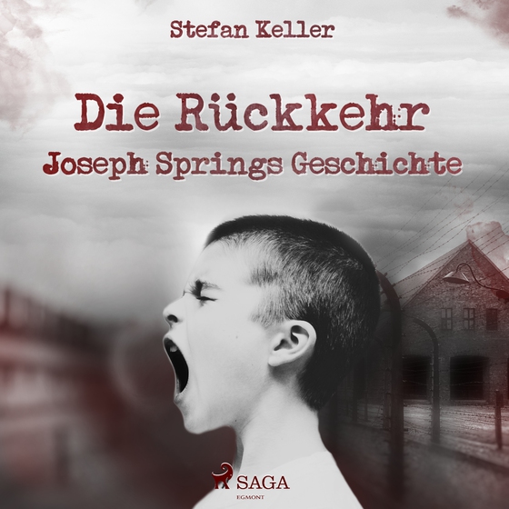 Die Rückkehr - Joseph Springs Geschichte (lydbog) af Stefan Keller