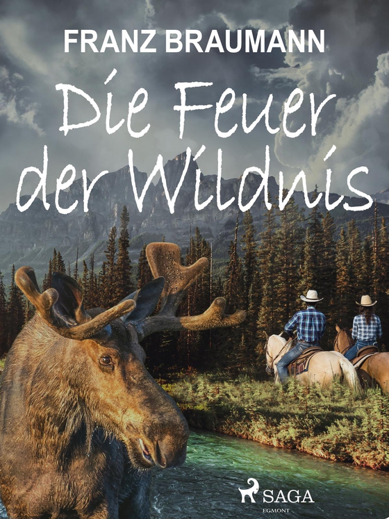 Die Feuer der Wildnis (e-bog) af Franz Braumann