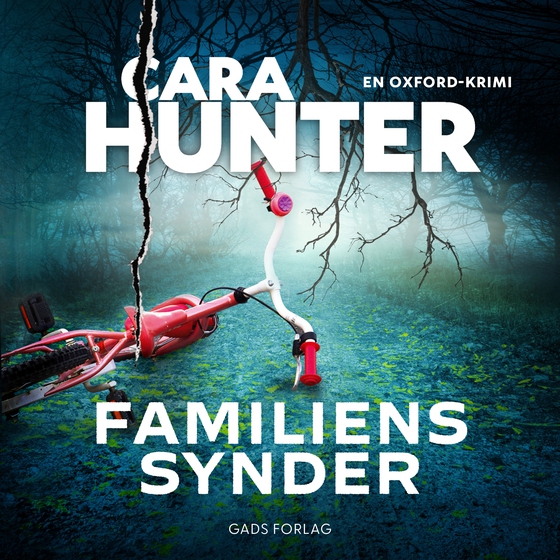Familiens synder - En Oxford-krimi (lydbog) af Cara Hunter