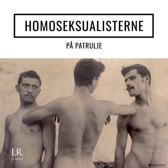Homoseksualisterne 4:6 - På patrulje (lydbog) af Anders Thorkilsen