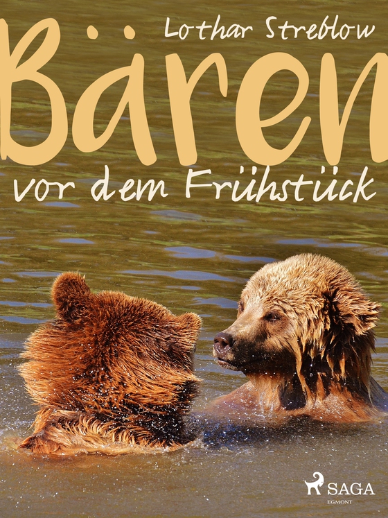 Bären vor dem Frühstück - Erzählungen (e-bog) af Lothar Streblow