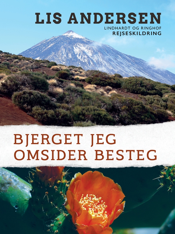 Bjerget jeg omsider besteg (lydbog) af Lis Andersen