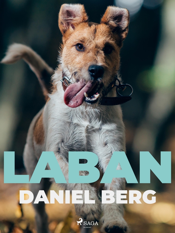 Laban (e-bog) af Daniel Berg