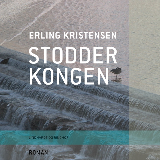 Stodderkongen (lydbog) af Erling Kristensen