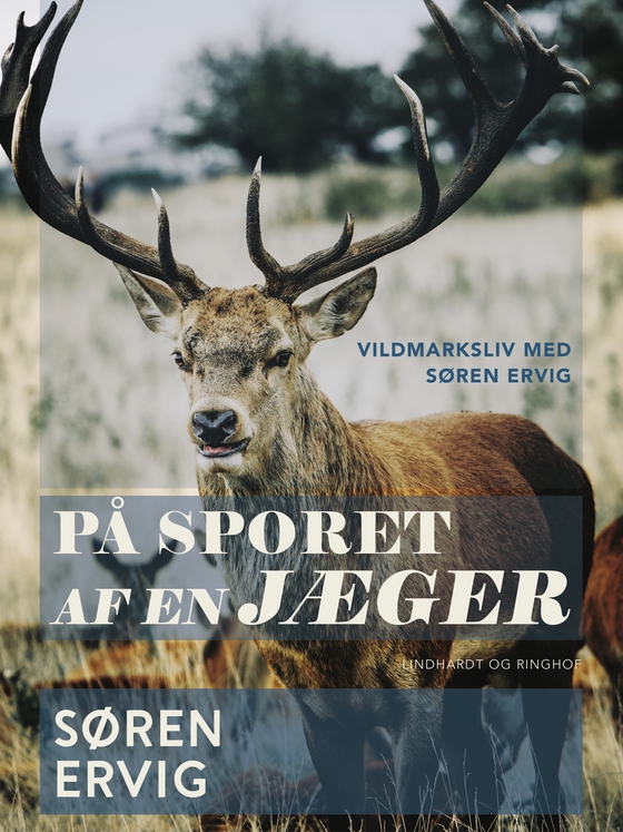På sporet af en jæger (lydbog) af Søren Ervig