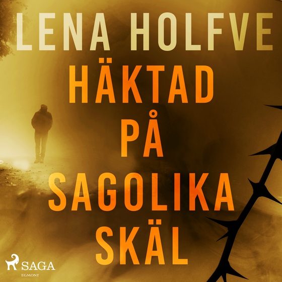 Häktad på sagolika skäl (lydbog) af Lena Holfve