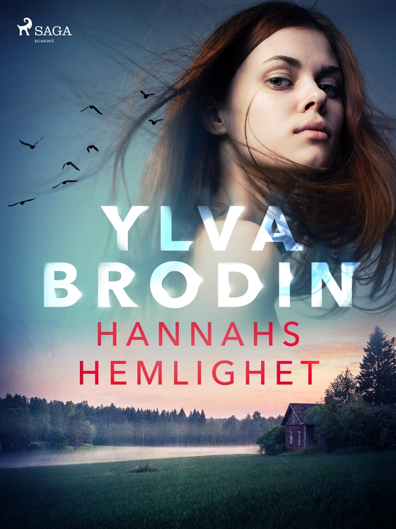 Hannahs hemlighet (e-bog) af Ylva Brodin