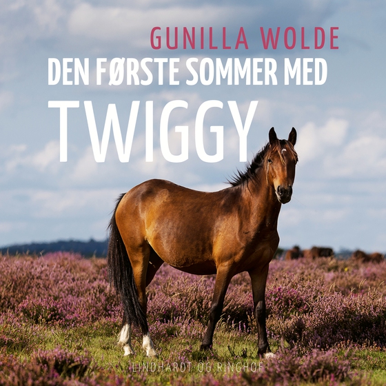 Den første sommer med Twiggy (lydbog) af Gunilla Wolde