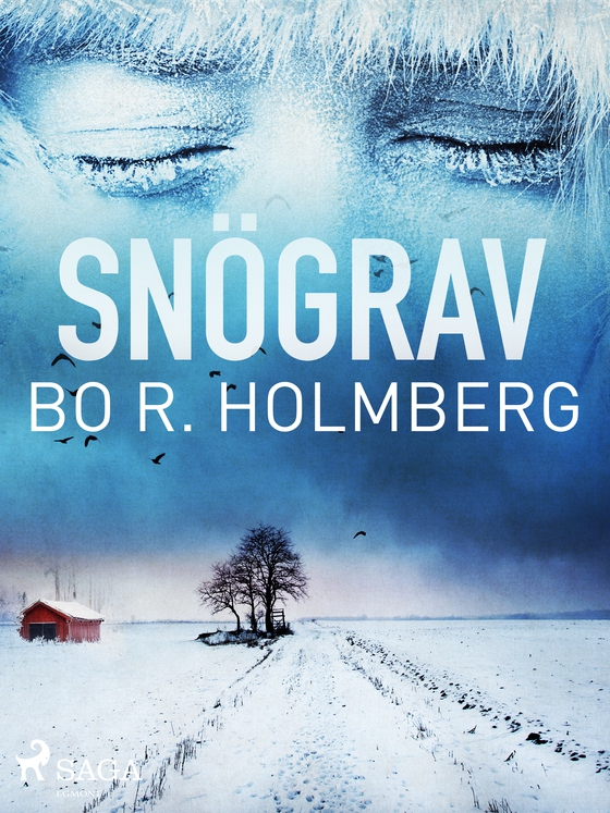 Snögrav