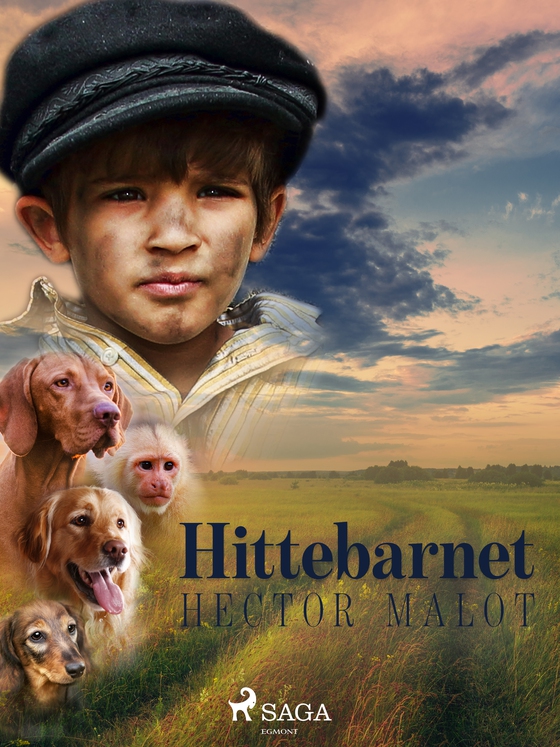 Hittebarnet (e-bog) af Hector Malot