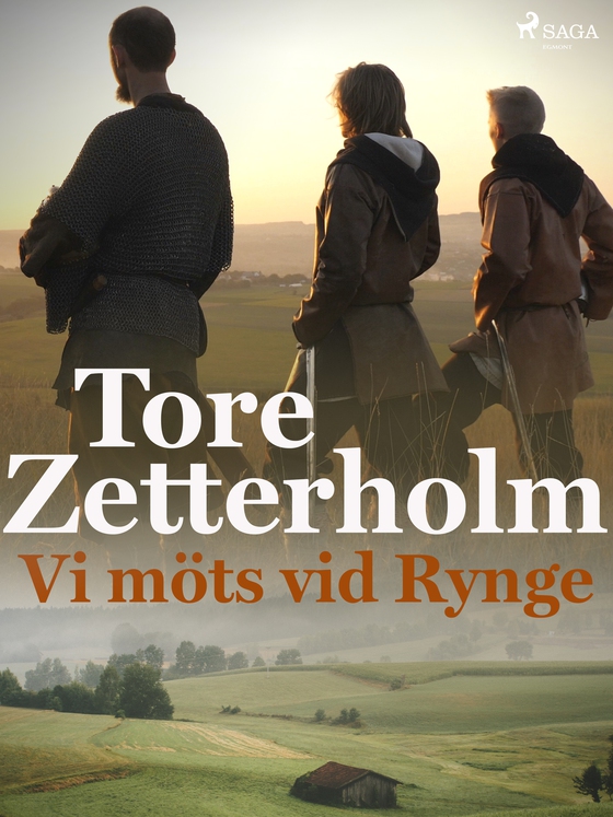 Vi möts vid Rynge (e-bog) af Tore Zetterholm