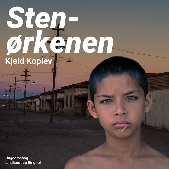 Stenørkenen (lydbog) af Kjeld Koplev