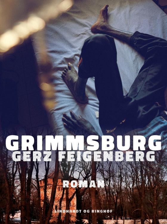 Grimmsburg (e-bog) af Gerz Feigenberg