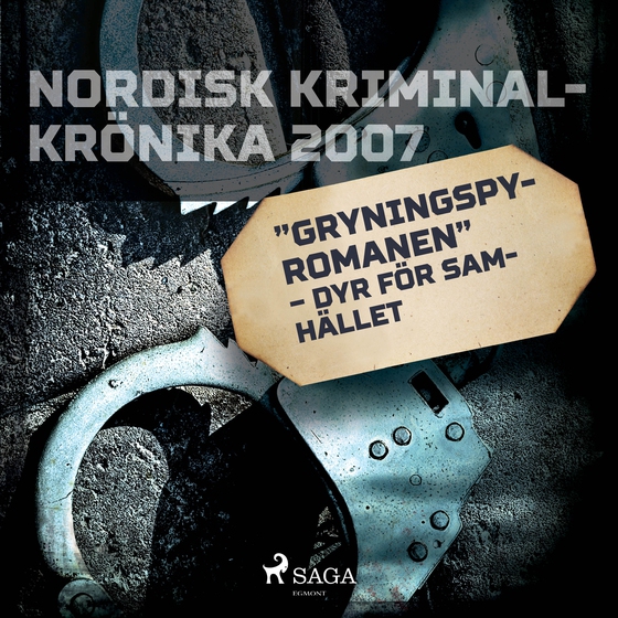 "Gryningspyromanen" – dyr för samhället (lydbog) af - Diverse