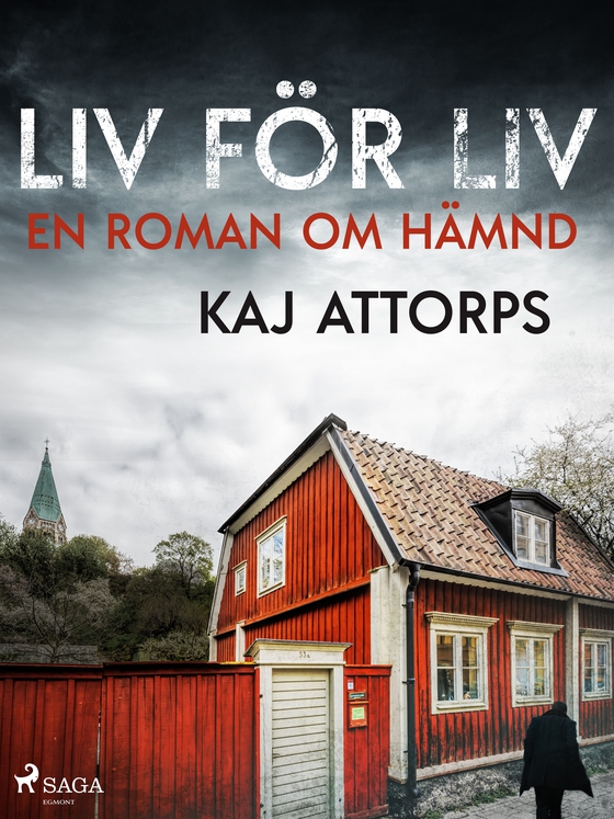 Liv för liv: en roman om hämnd