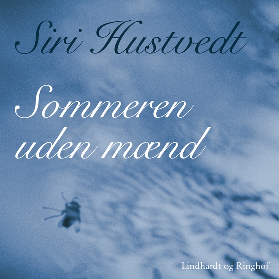 Sommeren uden mænd (lydbog) af Siri Hustvedt