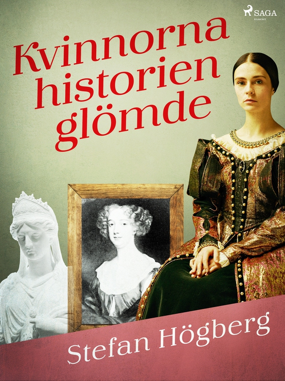 Kvinnorna historien glömde (e-bog) af Stefan Högberg