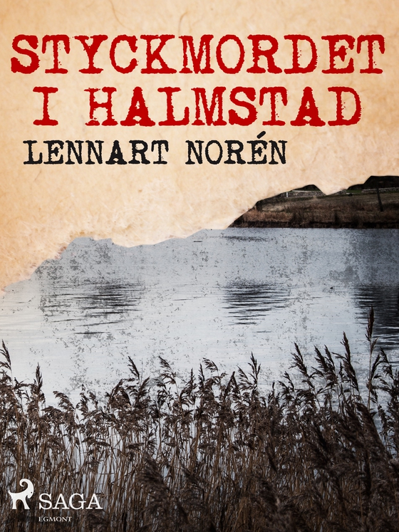 Styckmordet i Halmstad (e-bog) af Lennart Norén