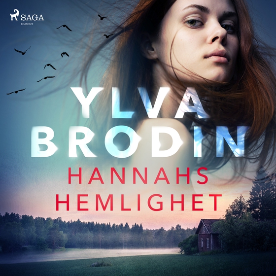 Hannahs hemlighet (lydbog) af Ylva Brodin