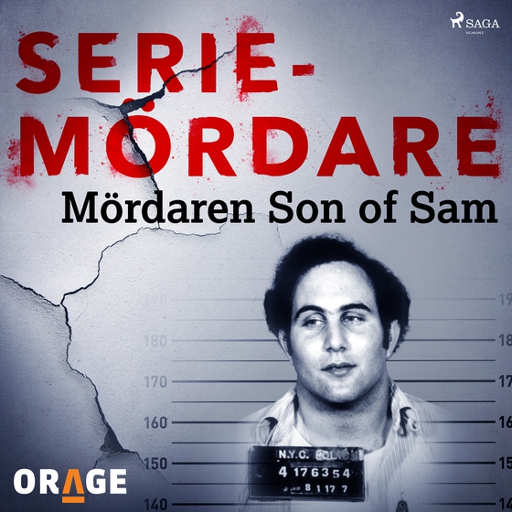 Mördaren Son of Sam