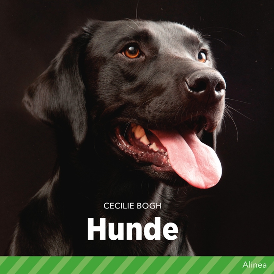 Hunde (lydbog) af Cecilie Bogh