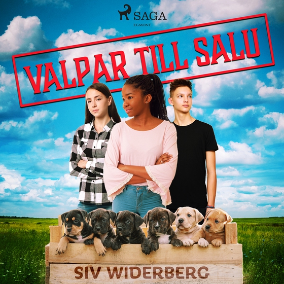 Valpar till salu (lydbog) af Siv Widerberg