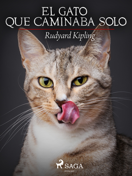 El gato que caminaba solo