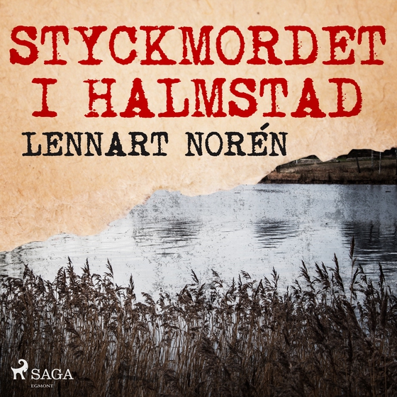 Styckmordet i Halmstad (lydbog) af Lennart Norén