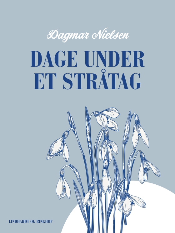 Dage under et stråtag (e-bog) af Dagmar Nielsen