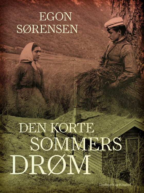 Den korte sommers drøm (e-bog) af Egon Sørensen