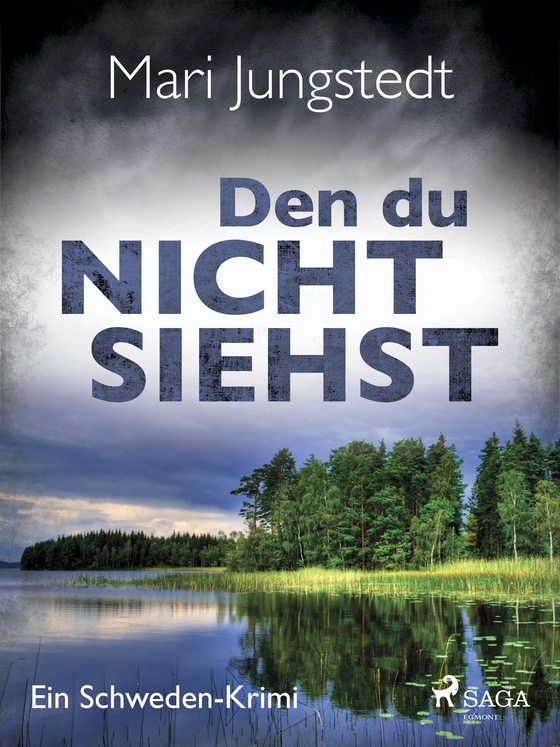 Den du nicht siehst - Ein Schweden-Krimi