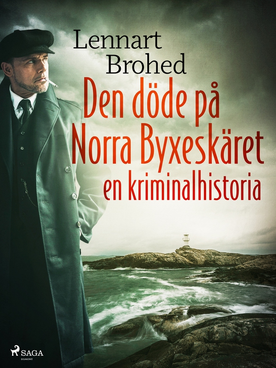 Den döde på Norra Byxeskäret: en kriminalhistoria