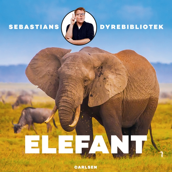 Sebastians dyrebibliotek - Elefant (lydbog) af Sebastian Klein