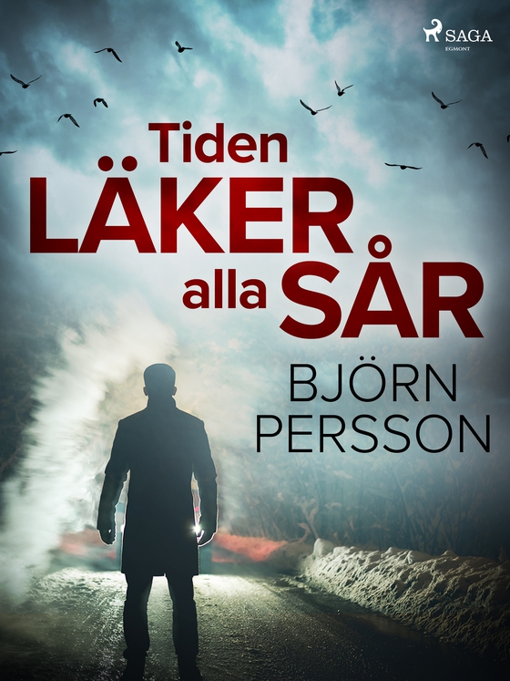 Tiden läker alla sår (e-bog) af Björn Persson